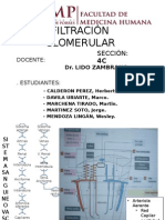 Filtracion Glomerular - Seminario de Histologia