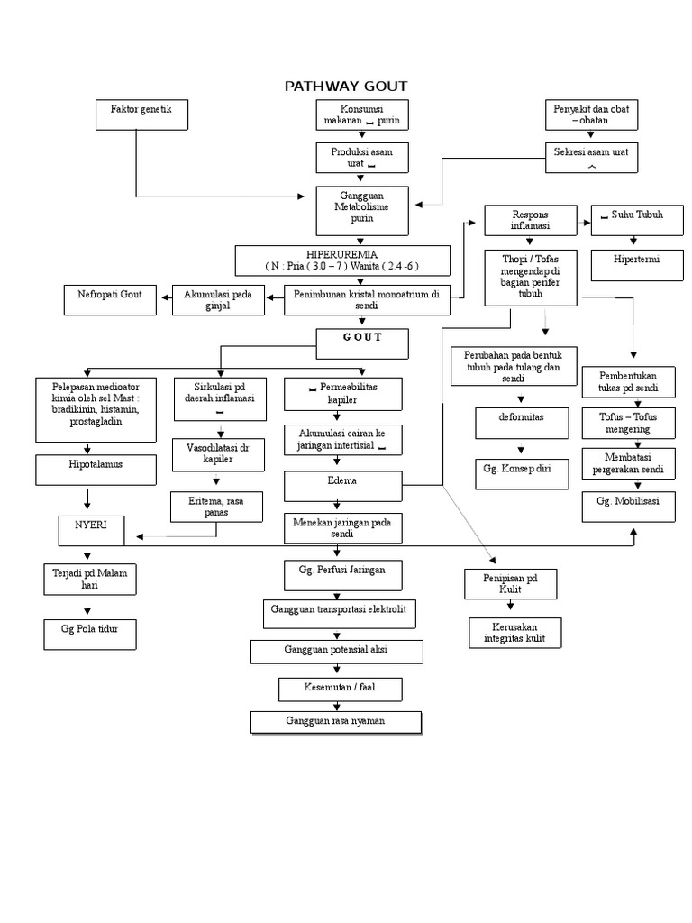 Pathway Gout Arthritis