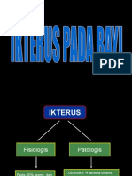 Ikterus Pada Bayi