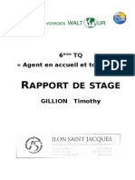 Rapport de Stage Timothy Gillion