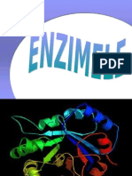 Enzime