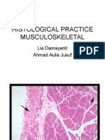 Pendahuluan Praktikum Histologi-muskuloskeletal