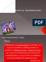 Cultura Organizacional PDF