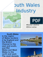 South Wales Industry: Students: Barda Catalina Bilca Larisa