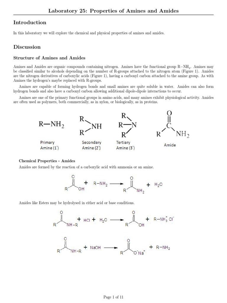 Properties of Amines and Amides Analysis | PDF | Amide | Amine
