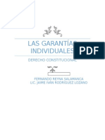 Garantías Individuales Ensayo