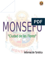 Monografia Monsefu 2011-2