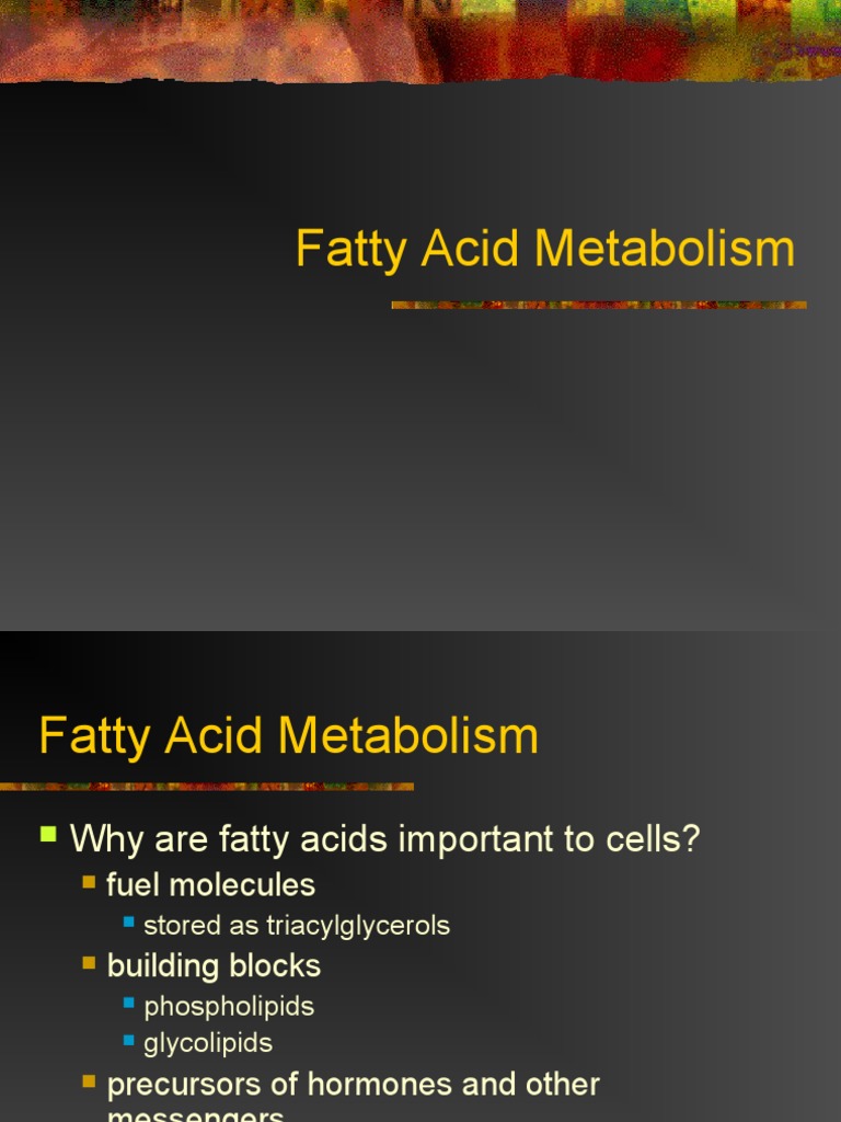 Overview of Fatty Acid Metabolism | PDF | Fatty Acid | Triglyceride