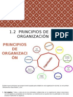 1.2 Principios de Organizacion