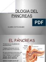 Fisiologia Del Pancreas