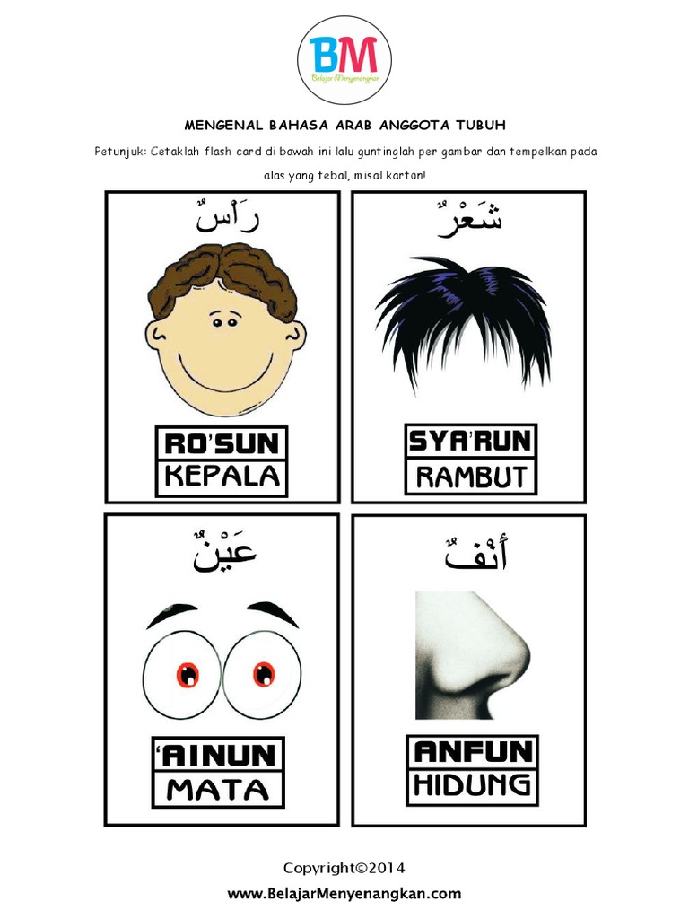Bahasa Arab Anggota Tubuh Pdf Pdf