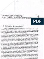 19559305-Tema-1-Naturaleza-y-Objeto-de-La-Consultoria-de-Empresas.pdf