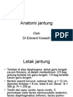 Anatomi Jantung