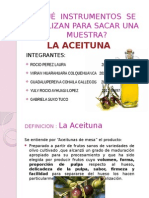 Muestra de La Aceituna