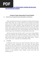 Download Sistem Reproduksi Jantan by Lelly Susanti SN267738949 doc pdf