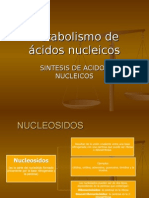 Metabolismo de Acidos Nucleicos