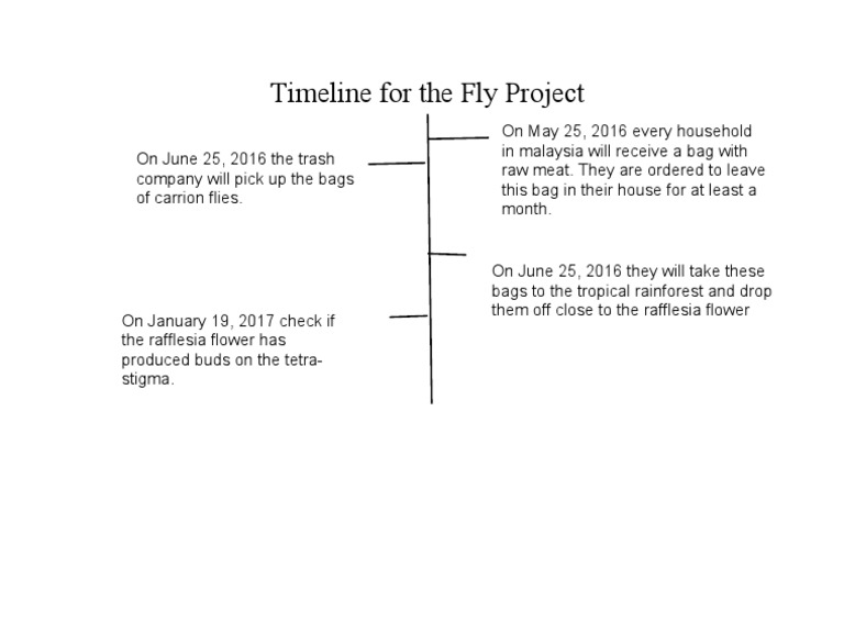 Fly Project | PDF | Plants | Organisms