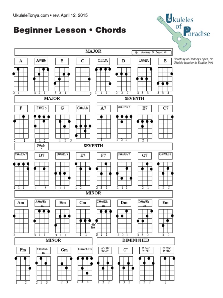Beginner Lesson Chords Major String Instruments Song Structure