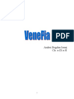 Referat Venetia