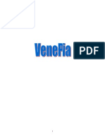Referat Venetia