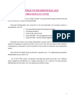 Curs 1 Procedura Civila - Principiile Fundamentale Ale Procesului Civil