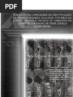 Avaliar Cone Beam - Oclusao