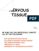 Nervous Tissue: Ted Lane May 2004