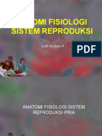 Anatomi Fisiologi Sistem Reproduksi