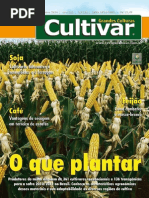 Cultivar Grandes Culturas No 1362