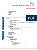 878Acrocarpus fraxinifolius.pdf