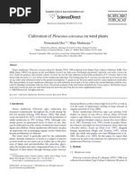 Download Cultivation of Pleurotus Ostreatus on Weed Plants by Nadie Ninguno SN267786906 doc pdf