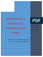 Importancia de La Seguridad Del Trabajor en Las Pymes (Proyecto de Aula) PDF