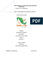 Organizador G PDF