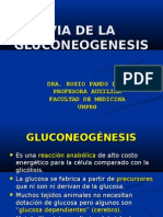 Via de La Gluconeogenesis