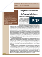 Anemia e Hemoglobina Mais Detalhado