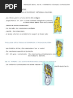 Ángulos en Podometría Radiológica | PDF | Dedo del pie | Pie