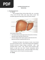 Download LP Hepatoma by Dinda Ayu Alestine SN267810434 doc pdf
