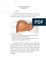 HEPATOMA