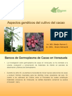 Aspectos Genéticos Del Cultivos Del Cacao