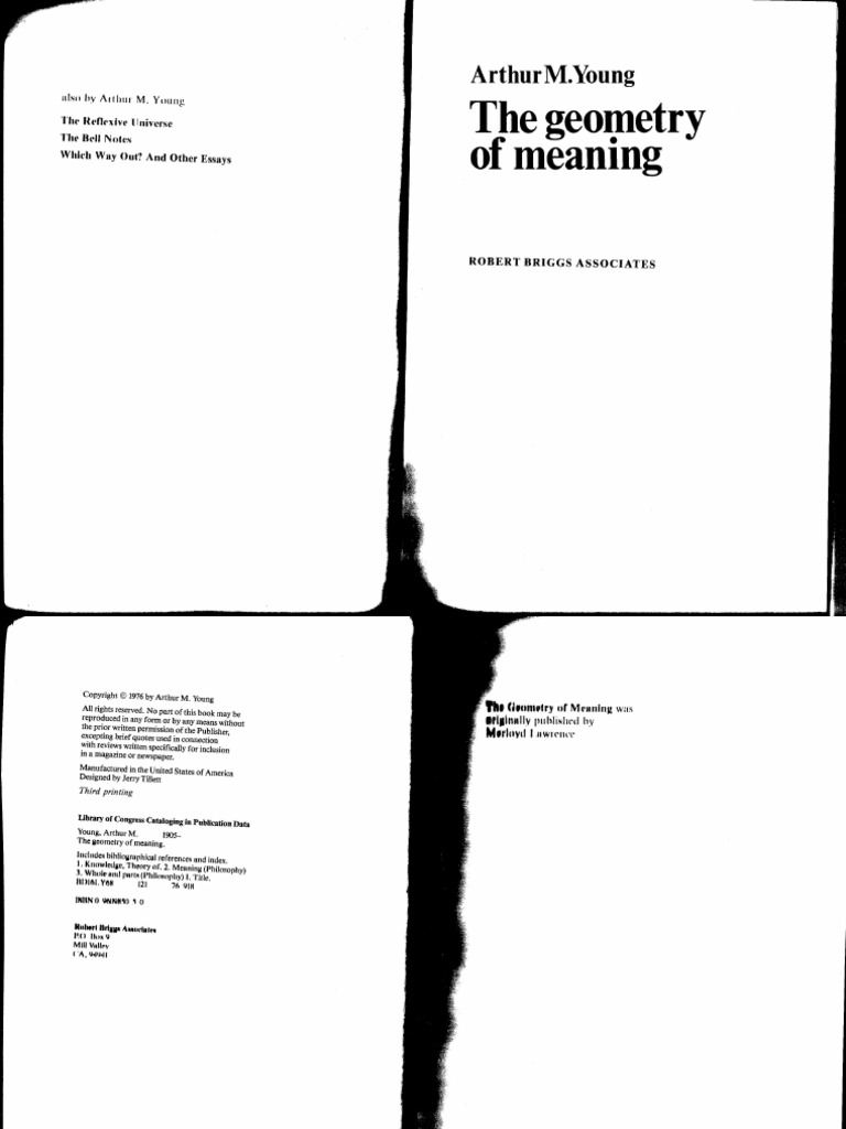 Arthur M Young The Geometry of Meaning BOOK PDF | PDF