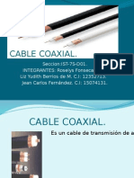 Cable Coaxial Exposicion