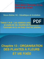 Chap 13 Organisation Des Plantes