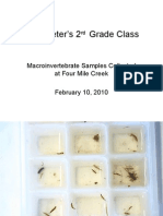 Mrs. Peter's 2 Grade Class: Macroinvertebrate Samples Collected at Four Mile Creek February 10, 2010