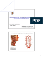 Vascularizacion de La Cabeza: Generalidades. Vascularizacion Del