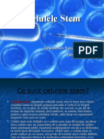 Celulele Stem2