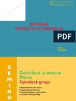 Proiecte-economice