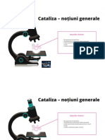 Cataliza1