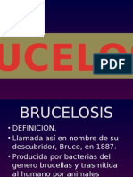 BRUCELOSIS