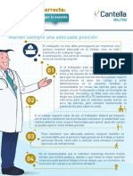 Guia Salud La Postura Correcta Cantella