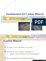 5.2-Carbón Mineral